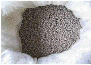 Gambar 7 : Formulasi butiran M. anisopliae. Sumber :   Foto http://www.iopri.org 
