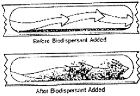 Gambar 2.8   Cara kerja Biodisperant    Chemical  :   N 7647 