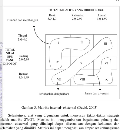 Gambar 5. Matriks internal- eksternal (David, 2003) 