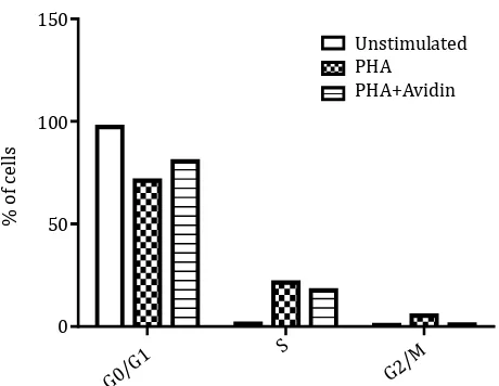 Figure 6. Distribution of PBMC in cell cycle phase in control group, PHA-stimulated group and influence of avidin on each phases