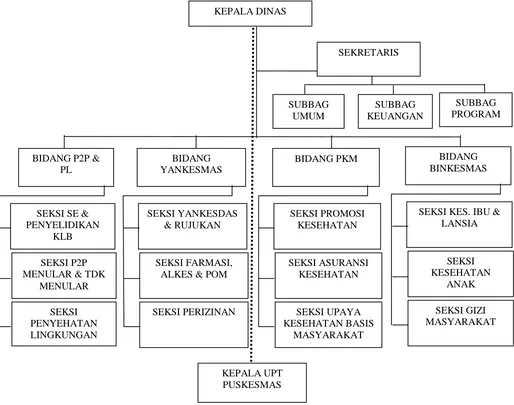 Gambar 4.1 Struktur Organisasi Dinas Kesehatan Kabupaten Tapanuli Utara 