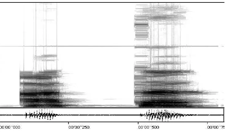 Figure.1. Sonogram of ate [Ɂatə] ‘slave‘. Elicited data, the word was recorded in isolation.