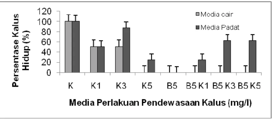 Gambar 1. Pengaruh media pendewasaan (BAP dan Kinetin) terhadap persentase kalus hidup dari  kalus embriogenik umur 4 minggu pada media padat maupun cair