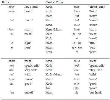 Table 3. Examples of borrowed common nouns and verb.