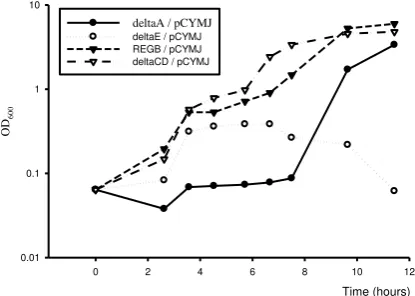 Figure 6. Growth of K. oxytoca cym mutants overexpressing cymJ. Cells were grown on minimal medium supplemented with 0.4% deltaA/pCYMJ=K