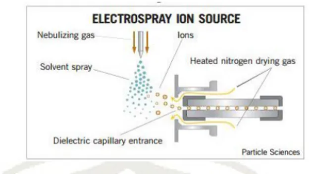 Gambar 2.2. Sumber Ionisasi Elektrospray (Partikel Sciences, 2009)