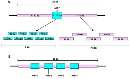Figure 3.Representative of Array Comparative Genomic Hybridization (aCGH) design.Ablue region representing the high density area with 1 probe in every 10 bp that stretches for 5 kb