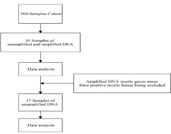 Figure 4. Flow chart of material selection. Originally 55 samples out of 300 cohort samples were used for the array using both amplified and unamplified DNA materials