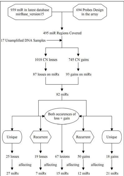 Figure 7.Flow Chart of unamplified DNA results. Probes on the array design is combined with the latest miR database, which give 495 miRs covered in the array