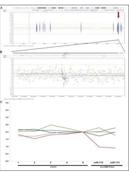 Figure 9.Validation of copy number loss found affecting miR-770. A.closer view of the deletion affecting miR-770