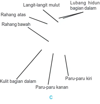 Gambar 11pasan Katak Dewasa (c) 