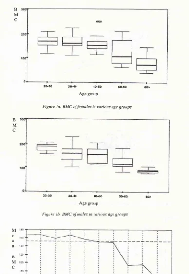 Figure Ib. BMC tf tnales in +'arious age groups