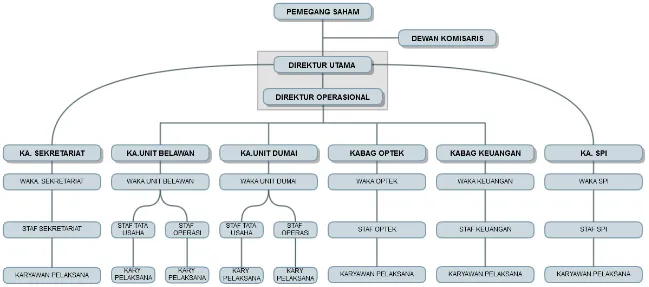 Gambar 2.2  Struktur Organisasi PT. Sarana Agro Nusantara 