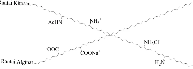 Gambar 4.1 Interaksi Ionik antara alginat dengan kitosan pada pH 5.4 