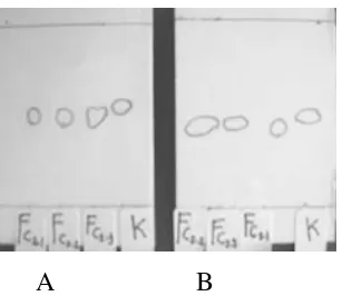 Figure 5. TLC Chromatograms of Piroxicam Gels at first day of formulation (A) and after 56 days of storage (B) (FC2.1 = 1% Aqupec HV-505  Gel base  with 0.25% Piroxicam, FC2.2 = 1% Aqupec HV-505  Gel base  with 0.5% Piroxicam, FC2.3= 1% Aqupec HV-505  Gel base  with 1% Piroxicam, K = Piroxicam ) 