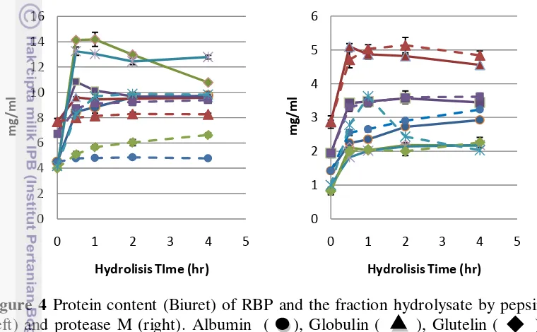 Figure 4 Protein content (Biuret) of RBP and the fraction hydrolysate by pepsin 