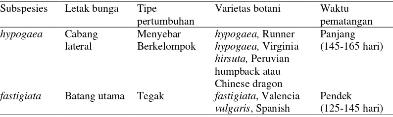 Tabel 1  Subspesies kacang tanah (Arachis hypogaea L.) 