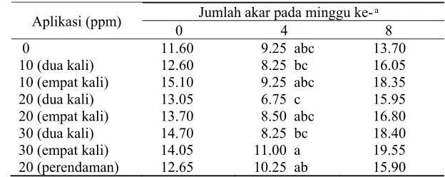 Tabel 6 Rata-rata jumlah akar Dendrobium spectabile 