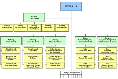 Gambar 2.1 Struktur organisasi BPS  Provinsi 