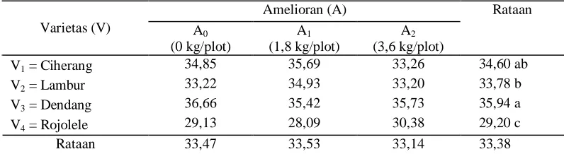 Tabel 13. Rataan jumlah klorofil pada perlakuan amelioran,  varietas  serta interaksi  amelioran dan varietas