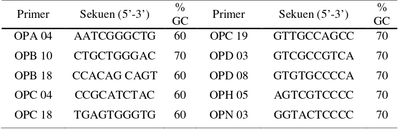 Tabel 3. Daftar primer RAPD yang digunakan untuk genotyping 30 aksesi Saccharum spp. Sumatera Utara 