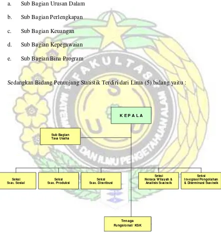 Gambar 3.2 Struktur organisasi BPS Kabupaten/ Kota 