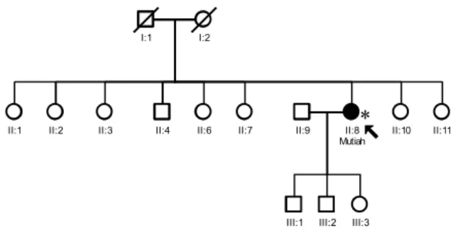 Figure 29. Family W10-2738 with single isolated case 