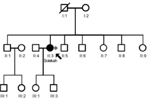Figure 33. Family W10-2742 with single isolated case 