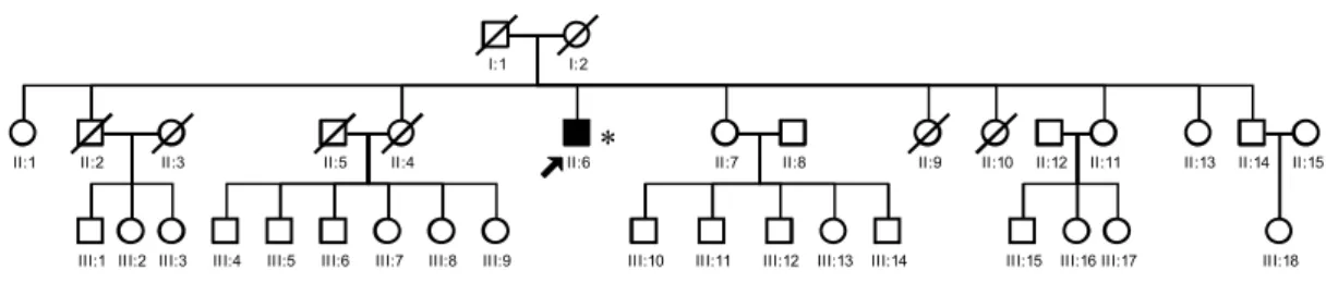 Figure 15. Family W10-1988 with single isolated case 