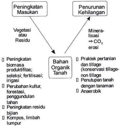 Gambar 2. Siklus karbon yang disederhanakan