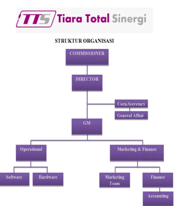 Gambar 2.2 Struktur Fungsi Divisi Marketing PT.Tiara  Total Sinergi