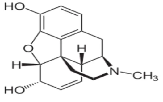 Gambar 2.2 Struktur Molekul Morfin (Ditjen POM, 1995). 