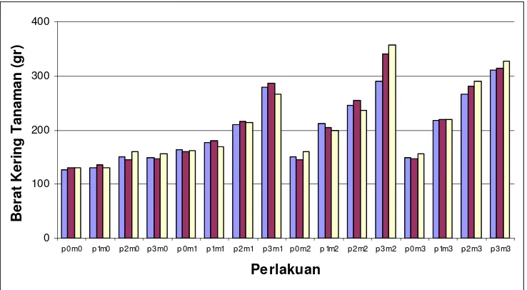 Gambar 1. Grafik Pertumbuhan Tanaman (cm) 