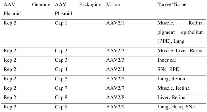 Table 5. AAV serotype and target tissue.  (Adapted from: Surace , 2008). 35