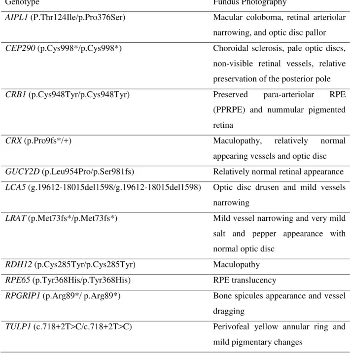 Table  1.  Fundus  photography  results  of  LCA  patients  with  known  mutations  in  causative genes 