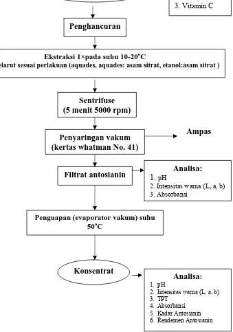 Gambar 3. Diagram Alir Ekstraksi Pigmen Kulit Buah Naga (Saati, 2002) 