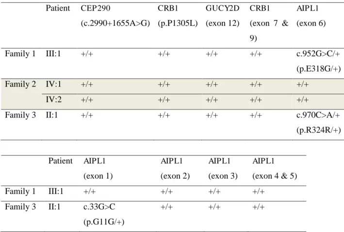 Table 6. Molecular findings of Indonesian LCA patients.     Patient  CEP290 (c.2990+1655A&gt;G)  CRB1 (p.P1305L)  GUCY2D (exon 12)  CRB1 (exon  7  &amp;  9)  AIPL1 (exon 6)  Family 1  III:1  +/+  +/+  +/+  +/+  c.952G&gt;C/+  (p.E318G/+)  Family 2  IV:1  +