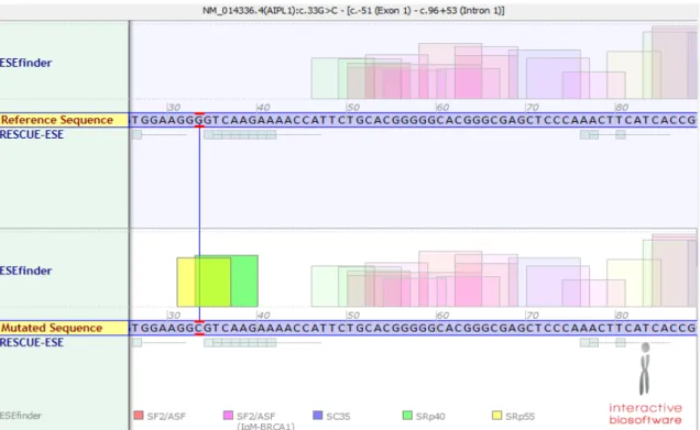 Figure 8. Splicing prediction for c.33G&gt;C variant in AIPL1. Using Alamut software, it is predicted that this  variant recruits SRp55 and SRp40 proteins.