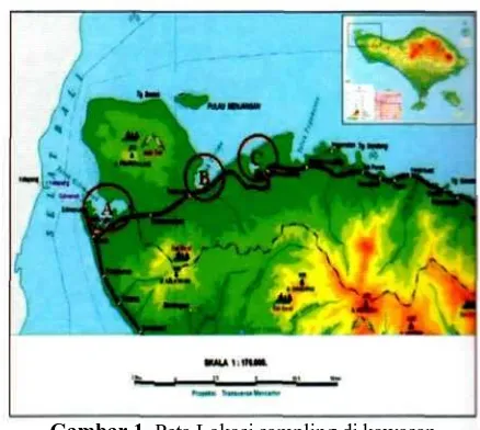 Gambar 1. Peta Lokasi sampling di kawasanTeluk Terima, (C) T. Banyuwedang (Gambar ulangmangrove TN Bali Barat; (A) Teluk Gilimanuk, (B)dari: www.bakosurtanal.go.id).