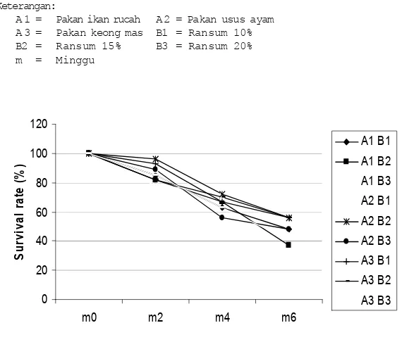 Gambar 2. Kecenderungan pertumbuhan harian kepiting bakau selama 6 minggu
