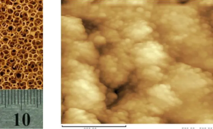 Gambar 1 (a). pori logam  Gambar 1 (b). nanofluida 