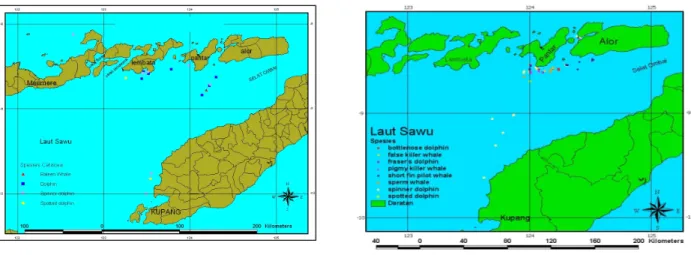 Gambar 4. Distribusi mamalia Laut Sawu selama pengamatan bulan Juli (a) dan Desember (b) 2005