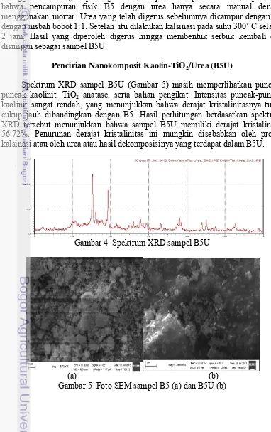 Gambar 4  Spektrum XRD sampel B5U 