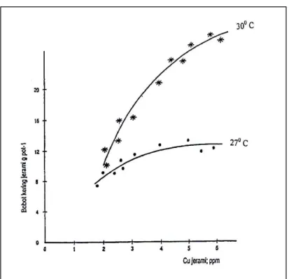 Gambar IV.1   Hubungan  antara  bobot  kering  jerami  dan  Cu  jerami  tanaman  gandum yang ditanam pada dua suhu percobaan selama 6 minggu.