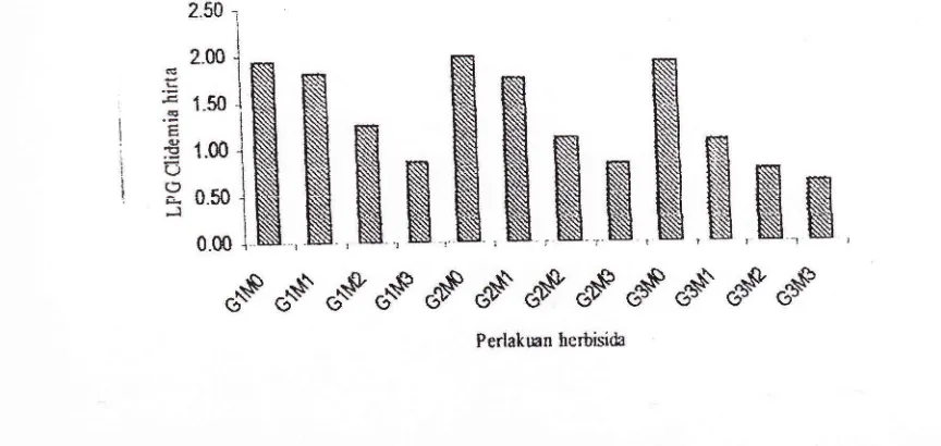 Gambar 0,5 m2 per Pertumbuhan tiga MSA (g per Grafik Laju Gulma Ottochloa nodosa pada pengamatan1