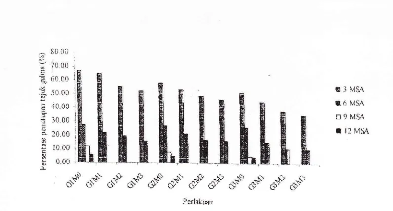 Gambar 4. Persentase penutupan tajuk gulma per tiga minggu pengamatan (%)