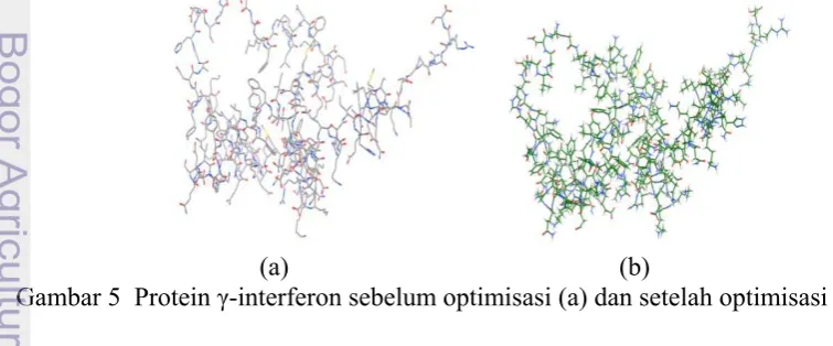 Gambar 5  Protein ��-interferon 