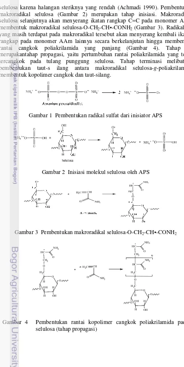 Gambar 1  Pembentukan radikal sulfat dari inisiator APS 