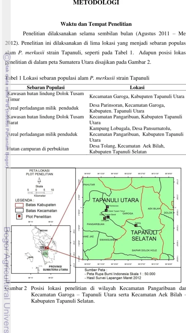 Tabel 1 Lokasi sebaran populasi alam P. merkusii strain Tapanuli 