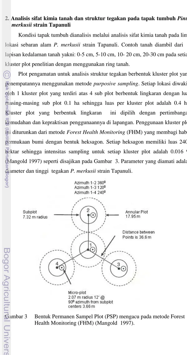 Gambar 3     Bentuk Permanen Sampel Plot (PSP) mengacu pada metode Forest  Health Monitoring (FHM) (Mangold  1997)